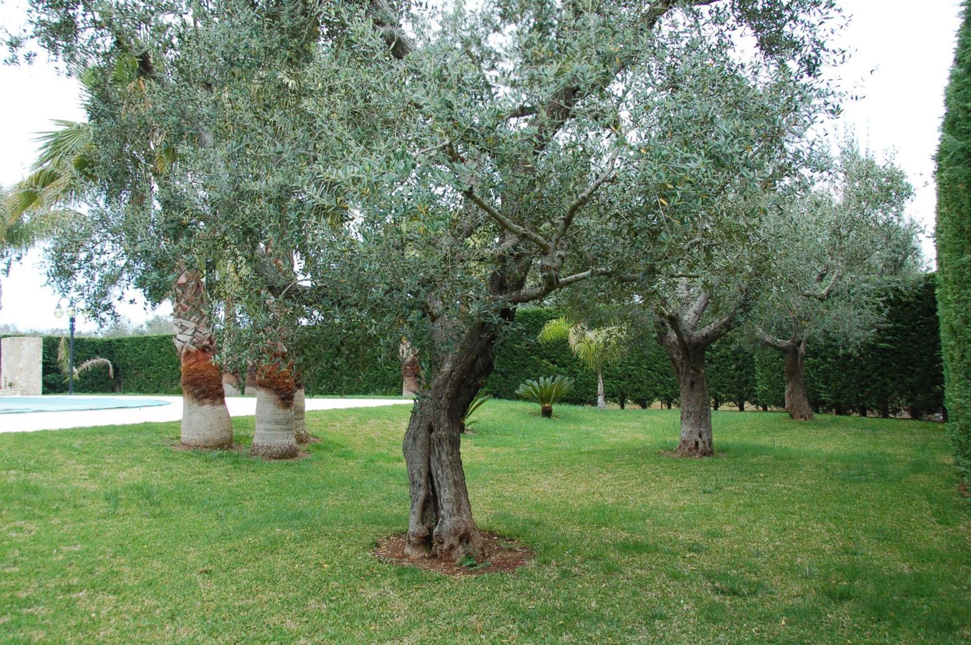 Bed & Breakfast Vittoria